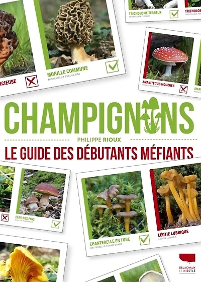 Champignons: le guide des débutants méfiants