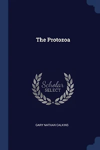 The Protozoa