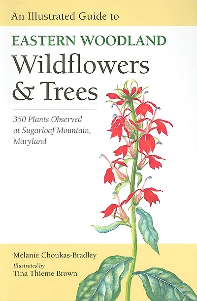 An Illustrated Guide to Eastern Woodland Wildflowers and Trees: 350 Plants Observed at Sugarloaf Mountain, Maryland