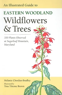 An Illustrated Guide to Eastern Woodland Wildflowers and Trees: 350 Plants Observed at Sugarloaf Mountain, Maryland