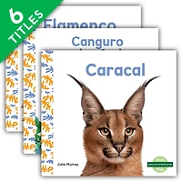 Animales Interesantes (Interesting Animals) (Set)