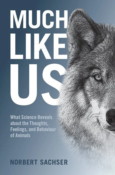 Much Like Us: What Science Reveals About The Thoughts, Feelings, And Behaviour Of Animals