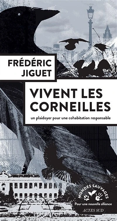 Vivent les corneilles : un plaidoyer pour une cohabitation responsable: responsable