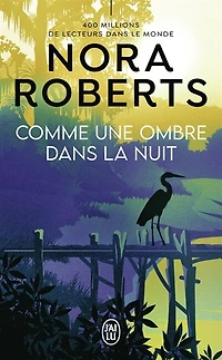 Comme une ombre dans la nuit
