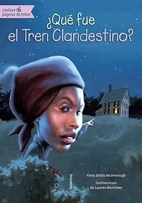 ¿Qué Fue El Tren Clandestino?