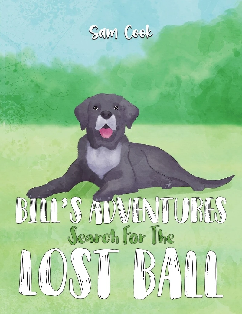 Bill's Adventures: Search for the Lost Ball