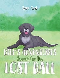 Bill's Adventures: Search for the Lost Ball