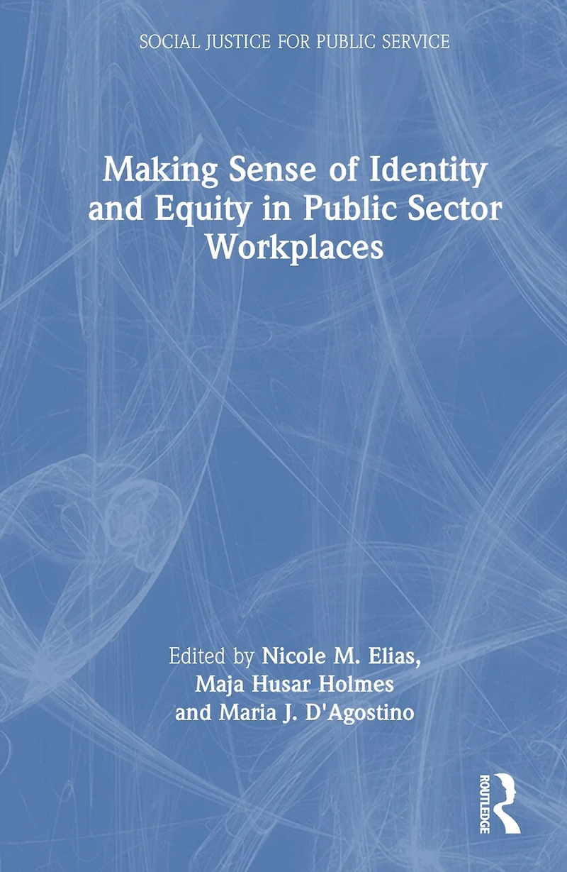 Making Sense of Identity and Equity Public Sector Workplaces