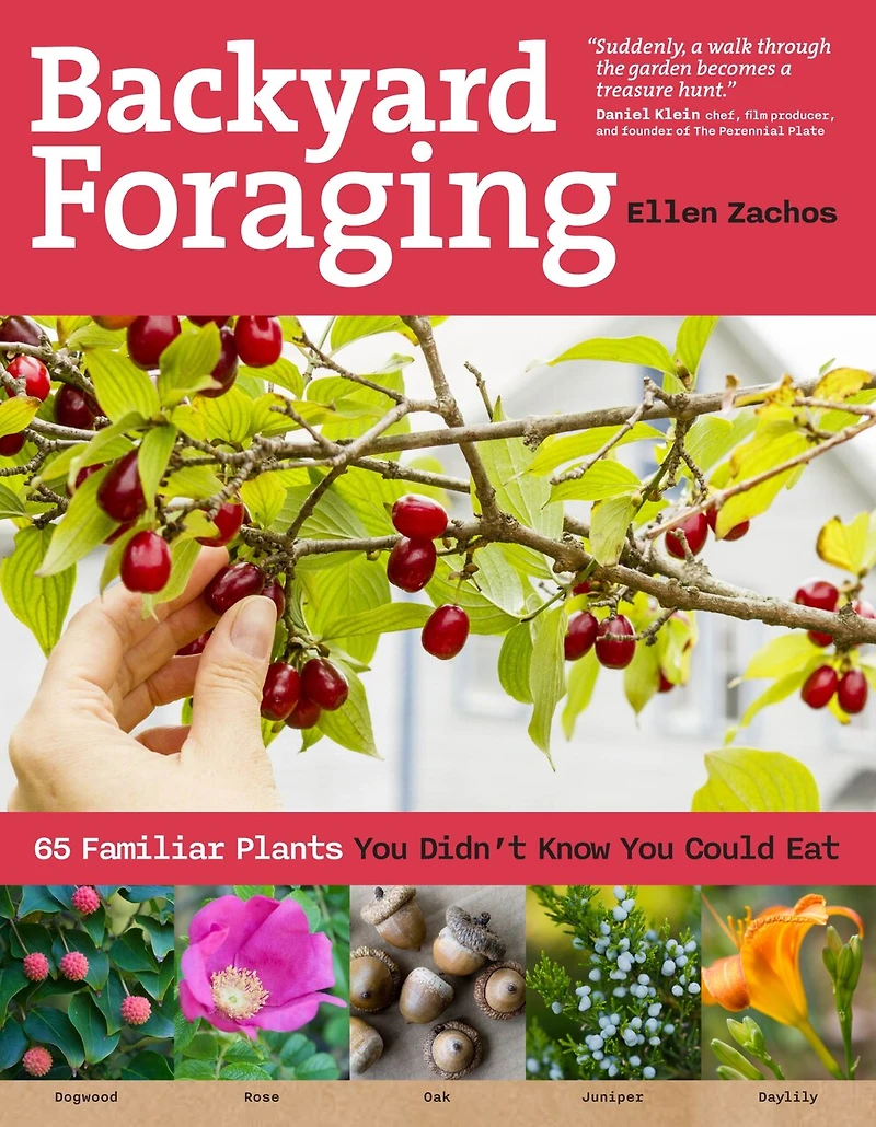 Backyard Foraging: 65 Familiar Plants You Didn’t Know Could Eat