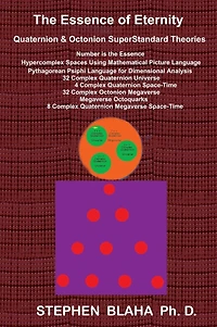 The Essence of Eternity: Quaternion & Octonion SuperStandard Theories