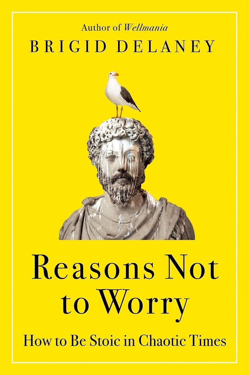 Reasons Not to Worry: How Be Stoic Chaotic Times