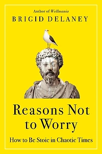Reasons Not to Worry: How Be Stoic Chaotic Times