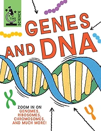 Genes and DNA