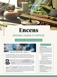 Encens: origines, usages et vertus