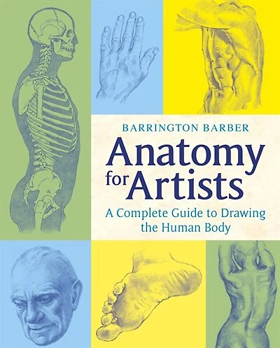 Anatomy for Artists