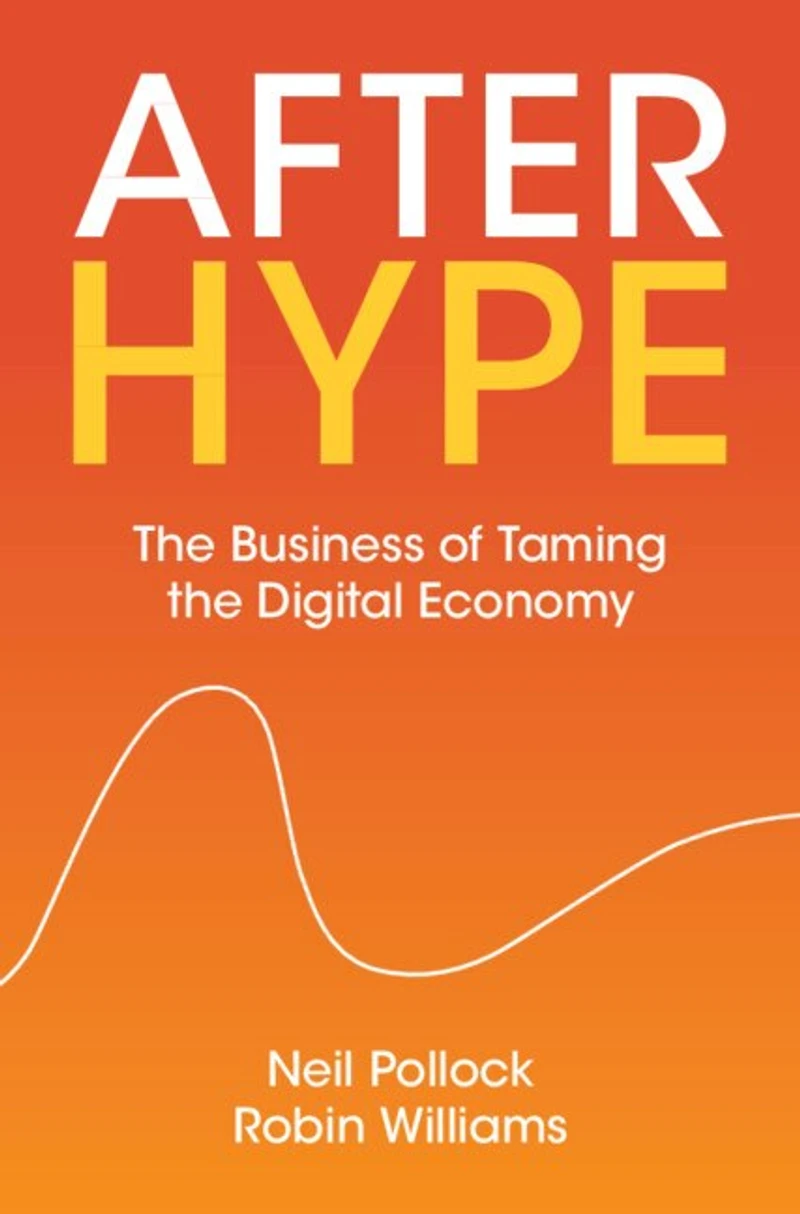 After Hype: the Business of Taming Digital Economy