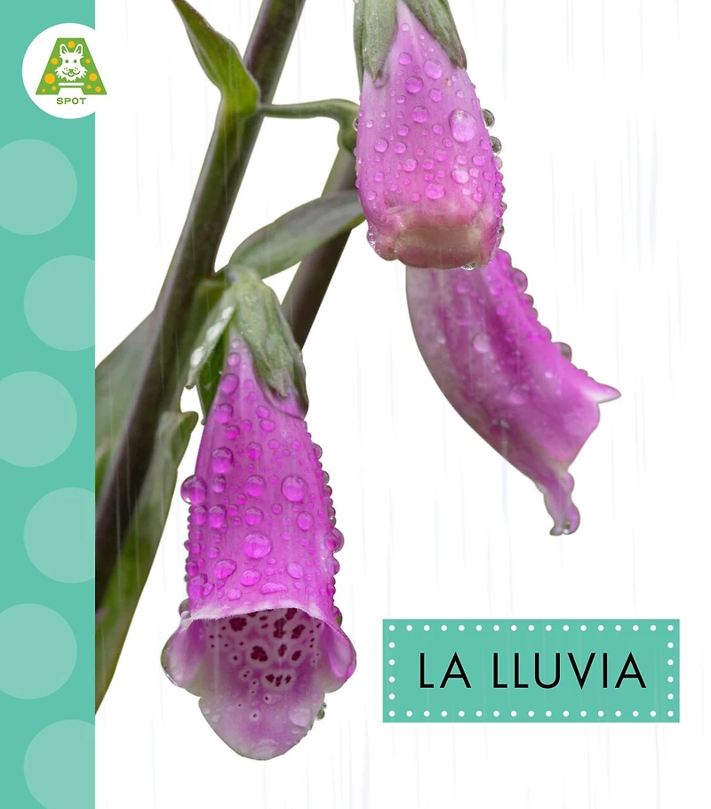 La lluvia