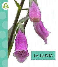 La lluvia