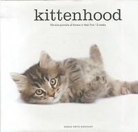 Kittenhood: Life-size Portraits Of Kittens In Their First 12 Weeks