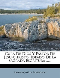 Cura De Dios Y Pastor De Jesu-christo: Ideado De La Sagrada Escritura ......