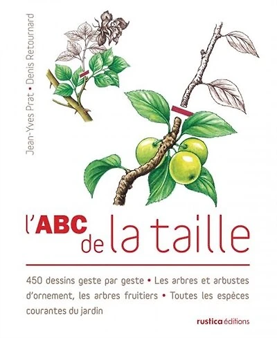 L' abc de la taille: 450 dessins geste par geste