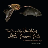 the Case of Vanishing Little Brown Bats: A Scientific Mystery