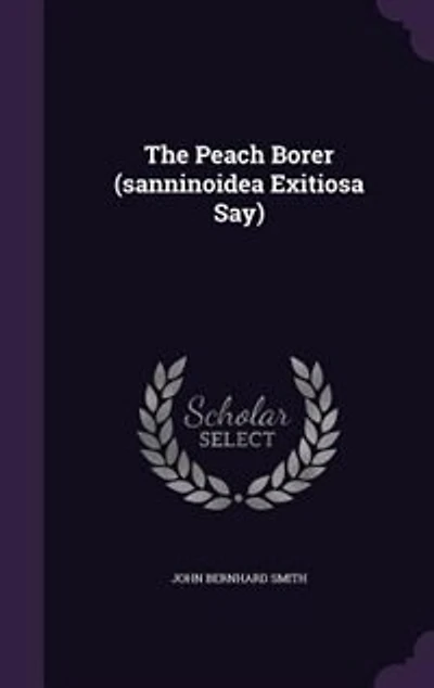 The Peach Borer (sanninoidea Exitiosa Say)