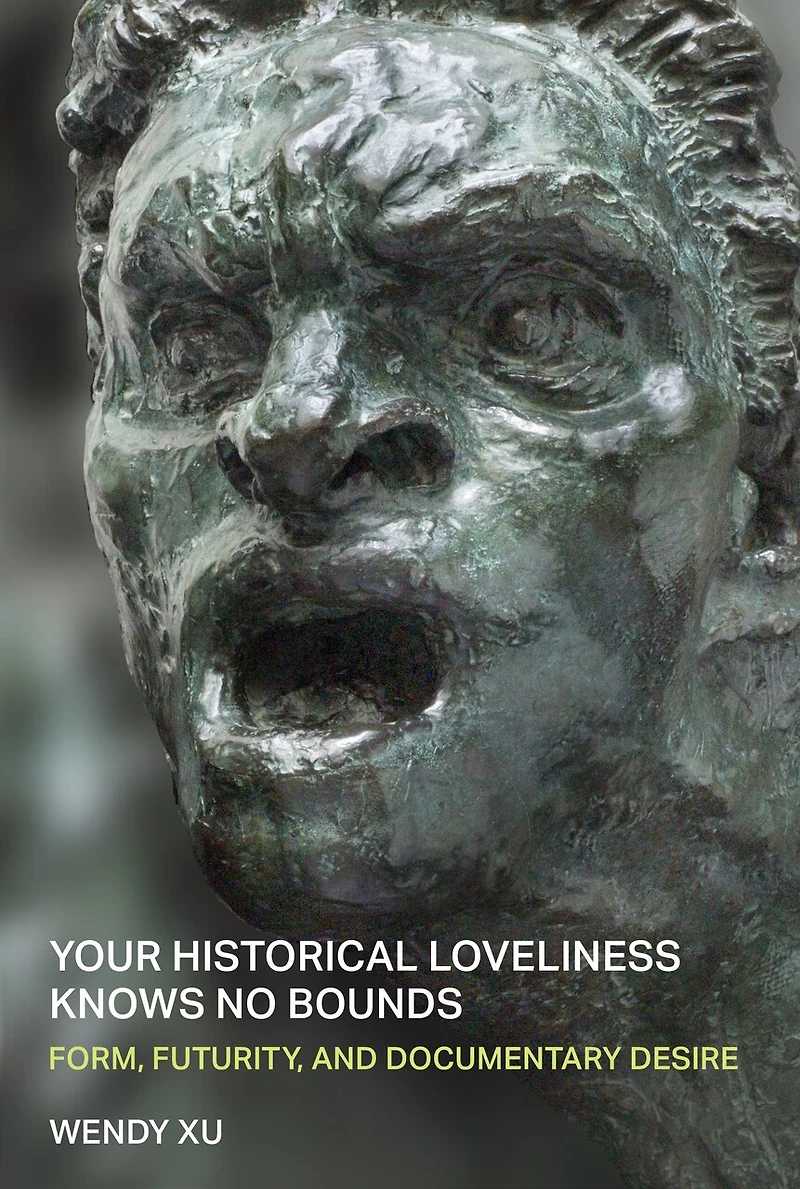 Your Historical Loveliness Knows No Bounds: Form, Futurity, and Documentary Desire