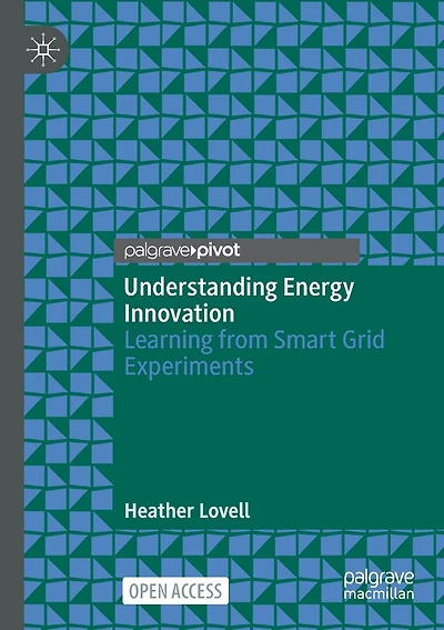 Understanding Energy Innovation: Learning From Smart Grid Experiments