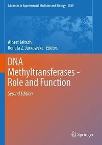Dna Methyltransferases - Role And Function