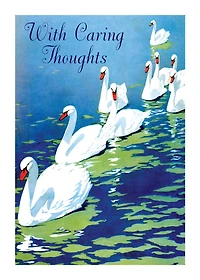 Swans - Sympathy Greeting Card
