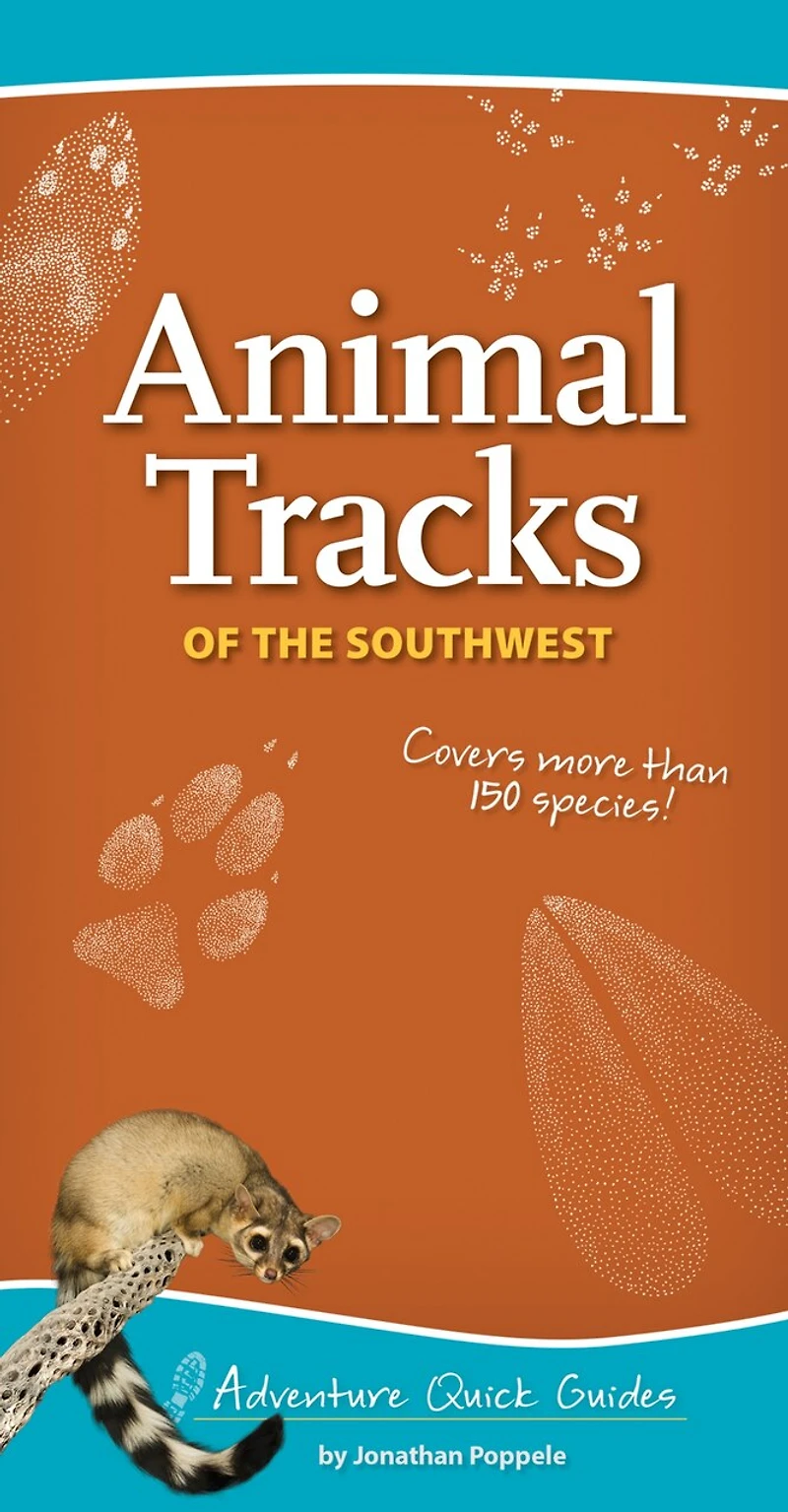 Animal Tracks Of The Southwest: Your Way To Easily Identify Animal Tracks