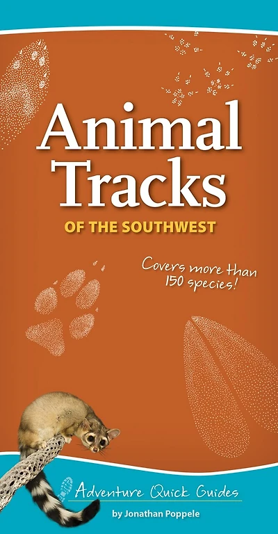 Animal Tracks Of The Southwest: Your Way To Easily Identify Animal Tracks