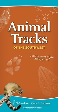 Animal Tracks Of The Southwest: Your Way To Easily Identify Animal Tracks