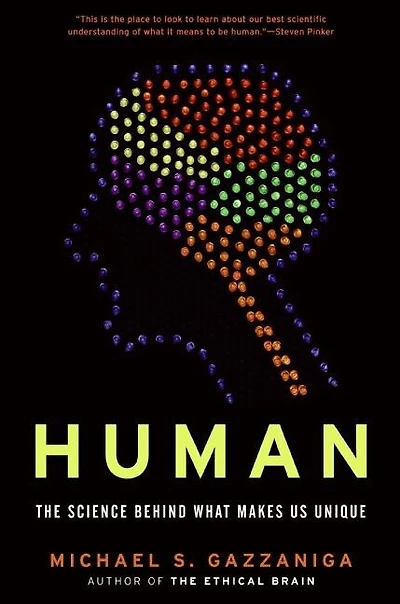Human: The Science Behind What Makes Your Brain Unique