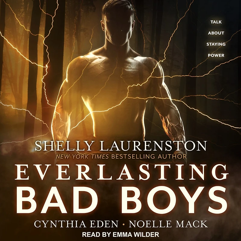 Everlasting Bad Boys Lib/E