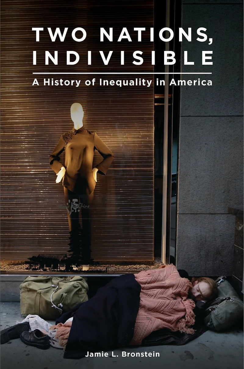 Two Nations, Indivisible: A History of Inequality America