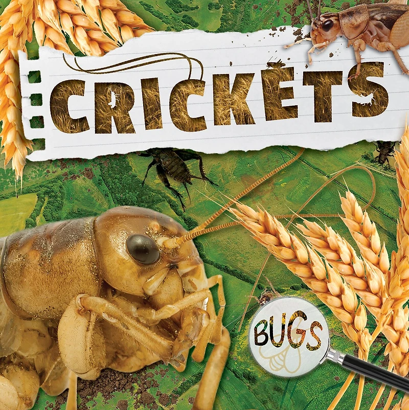 Crickets