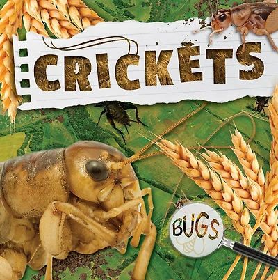 Crickets