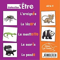 Collection Être - Série 4: L'araignée - Le lézard - La mouffette - La souris - Le panda