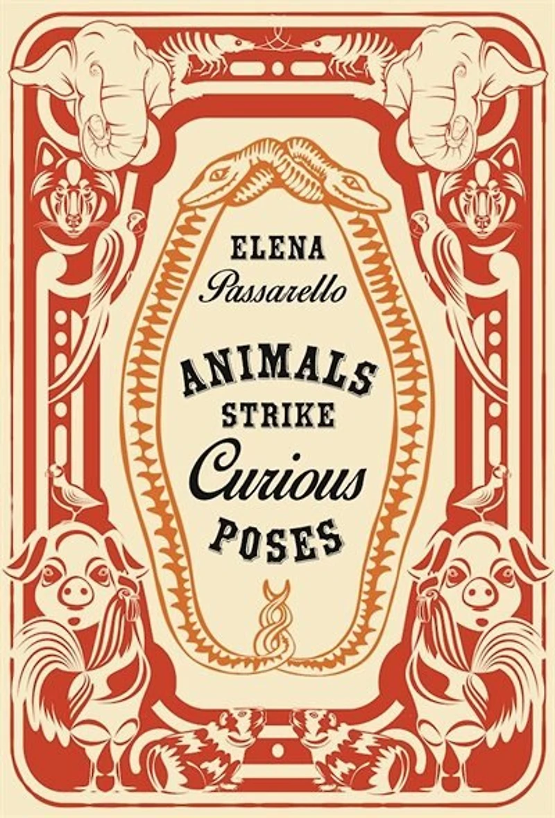 Animals Strike Curious Poses