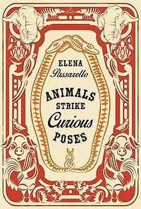 Animals Strike Curious Poses