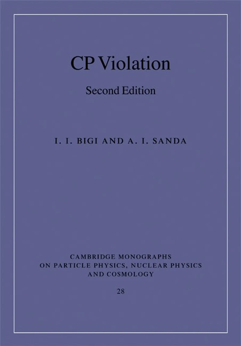 CP Violation