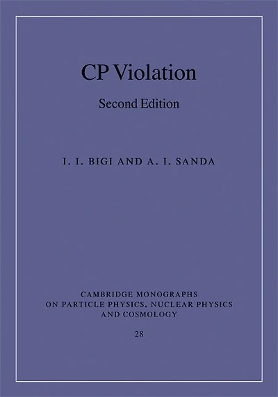 CP Violation
