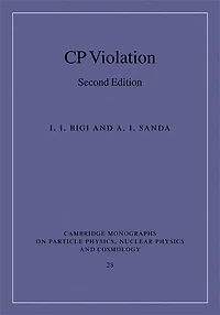 CP Violation