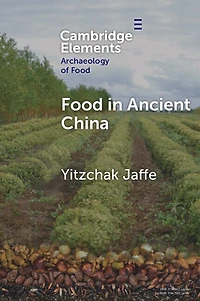 Food Ancient China