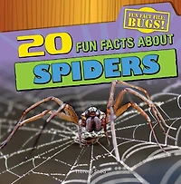 20 Fun Facts about Spiders