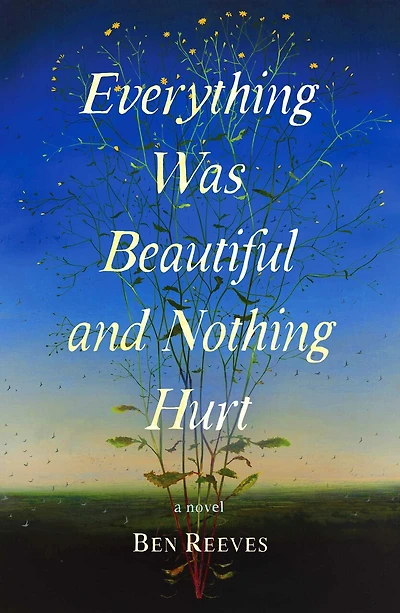 Everything Was Beautiful and Nothing Hurt: A Novel