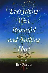 Everything Was Beautiful and Nothing Hurt: A Novel