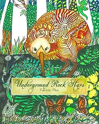 Underground Rock Stars: Adult colouring book